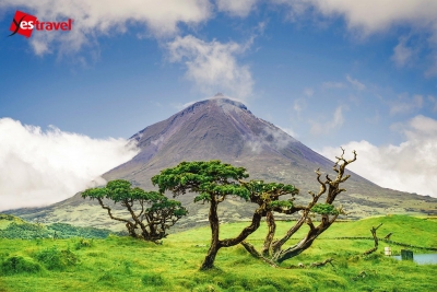 AÇORES- Ilha do Pico